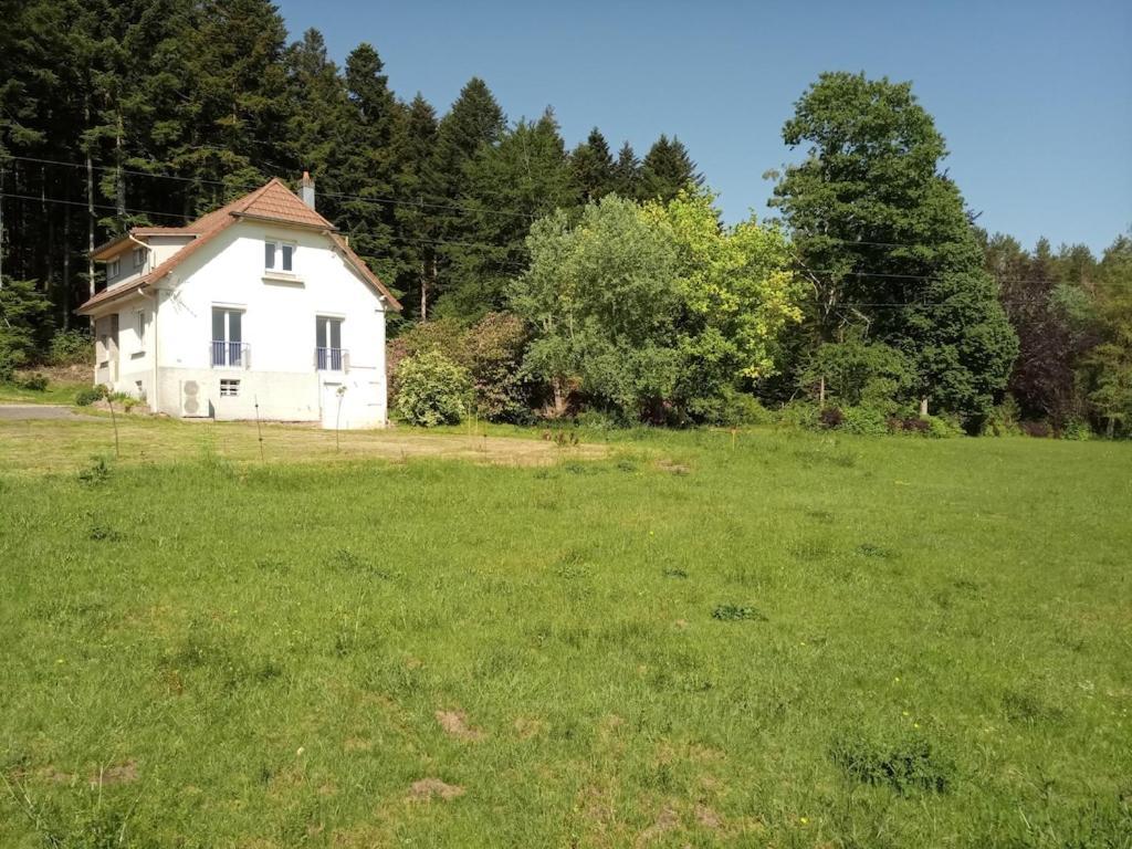 Vosges House 110 M2 In The Heart Of Nature L'Oree Du Bois Saint-Michel-sur-Meurthe Eksteriør billede