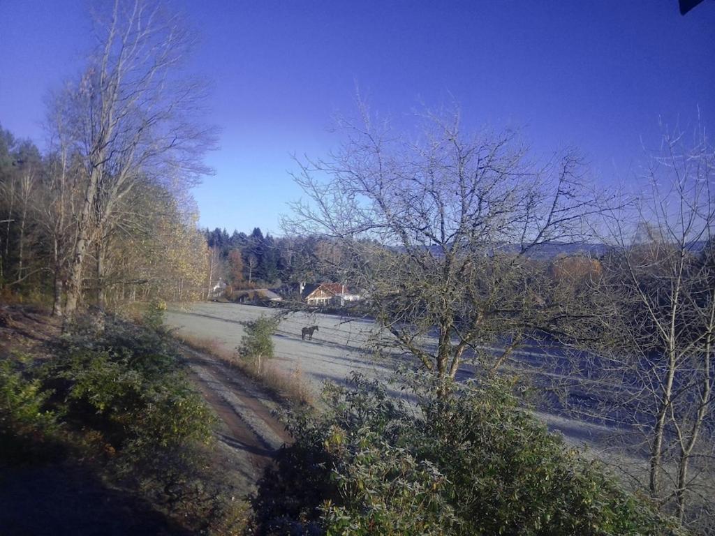 Vosges House 110 M2 In The Heart Of Nature L'Oree Du Bois Saint-Michel-sur-Meurthe Eksteriør billede