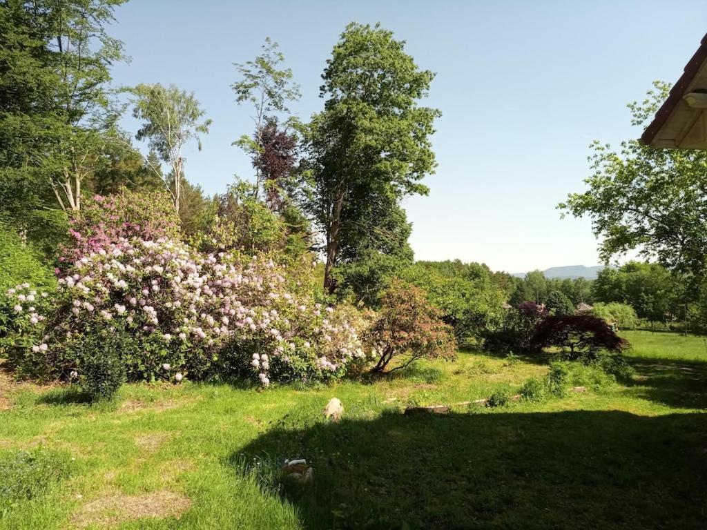 Vosges House 110 M2 In The Heart Of Nature L'Oree Du Bois Saint-Michel-sur-Meurthe Eksteriør billede